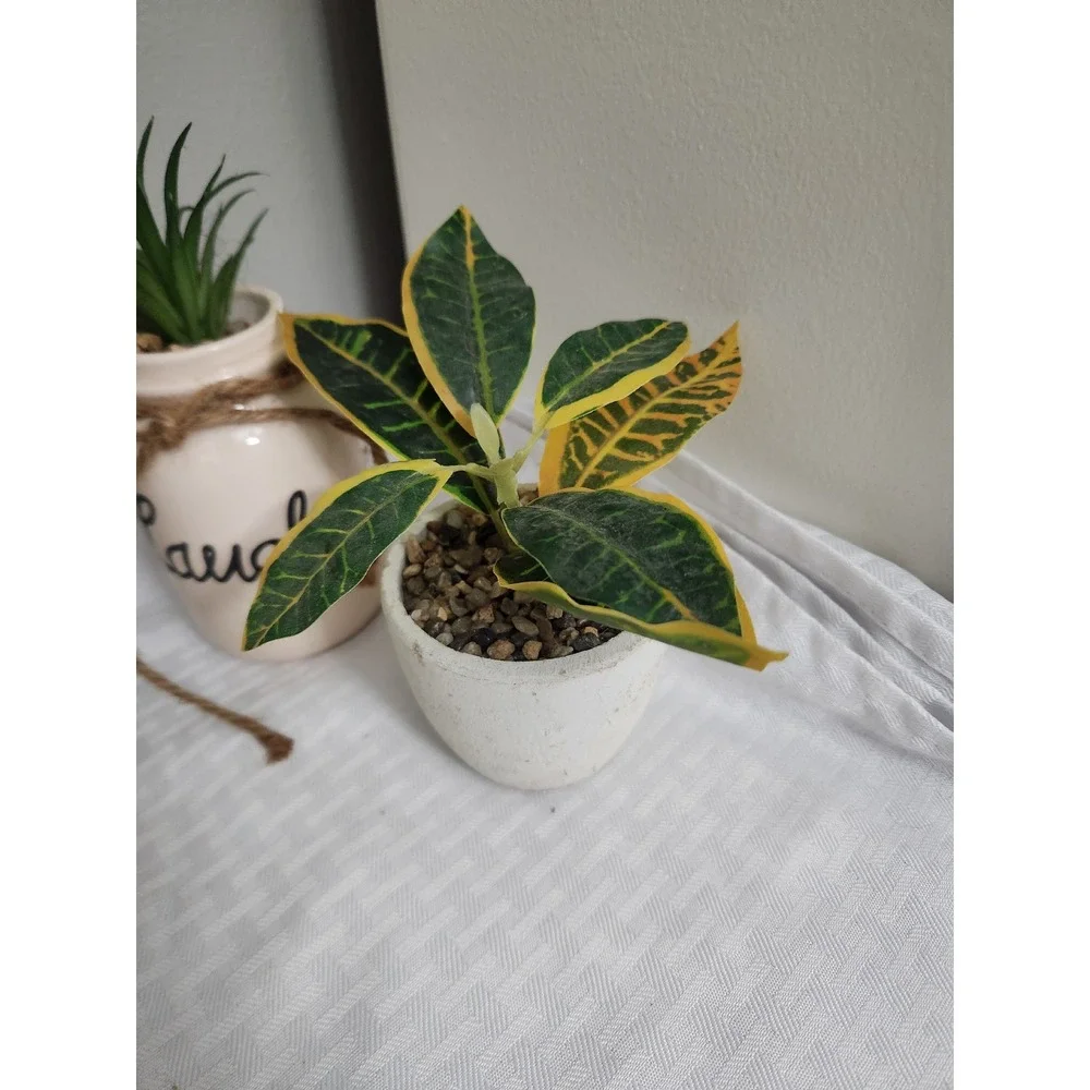 Set of 3 Artificial Plants Succulents in Pots Laugh Ceramic Jar Decor Greenery